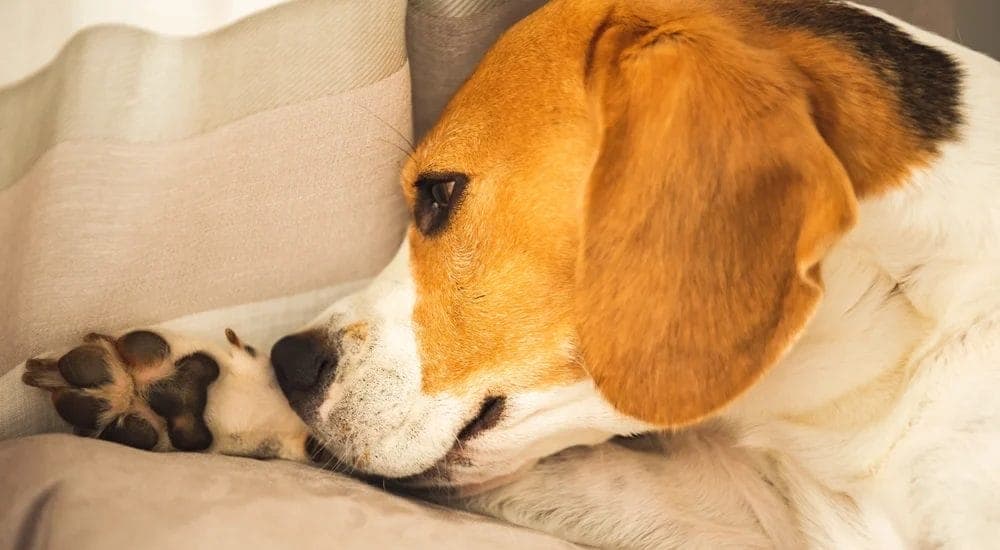 Experiencing Stress Or Anxiety