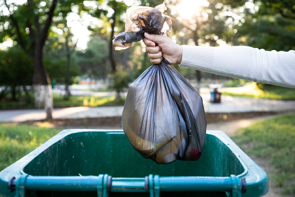 Can You Put Dog Poop in the Green Bin? (Manage Your Pup’s Waste)