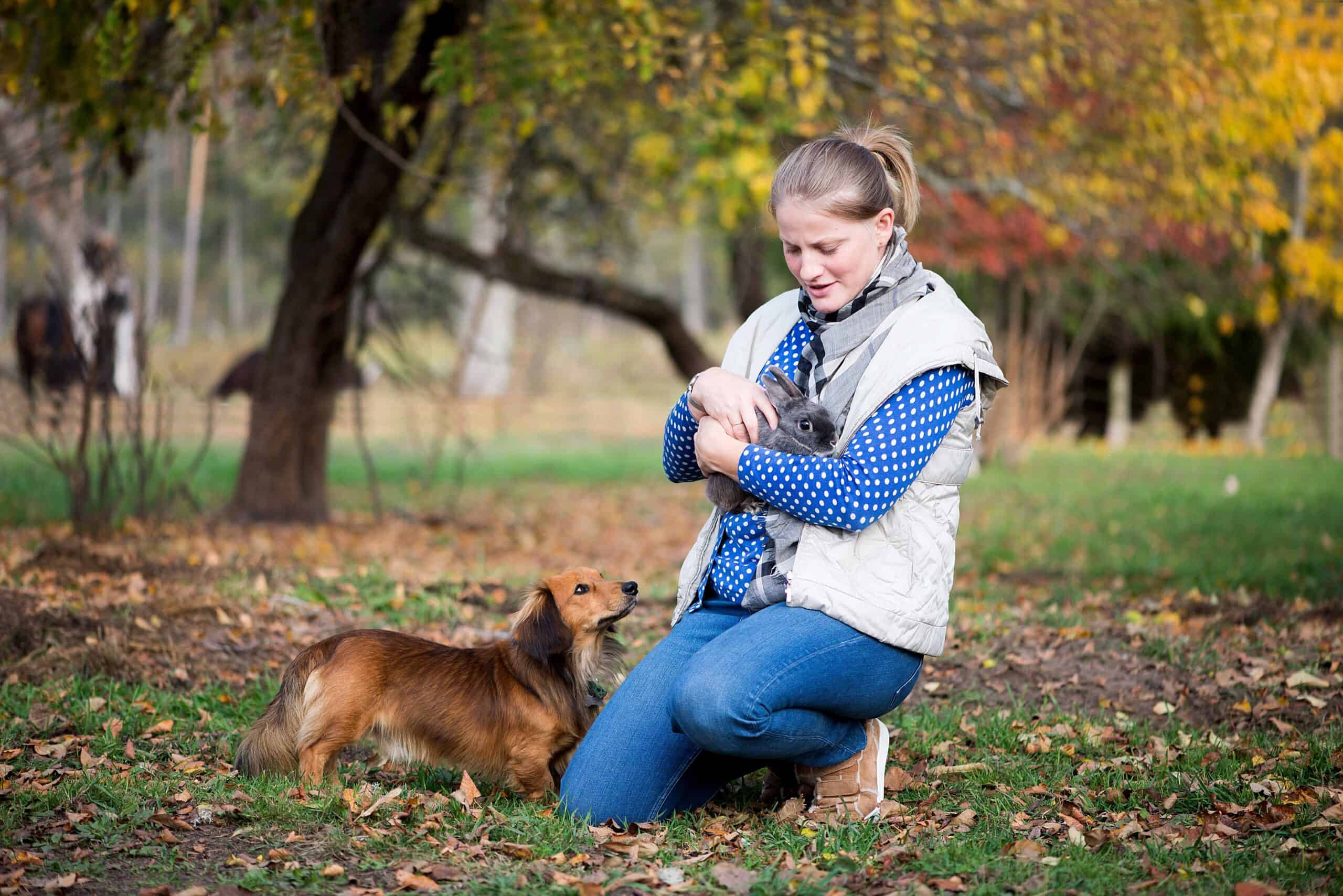How to Introduce A Dog To A Rabbit?