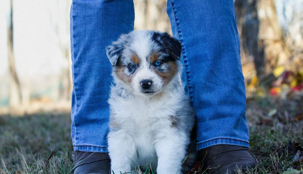 What Causes Hypervitaminosis A?