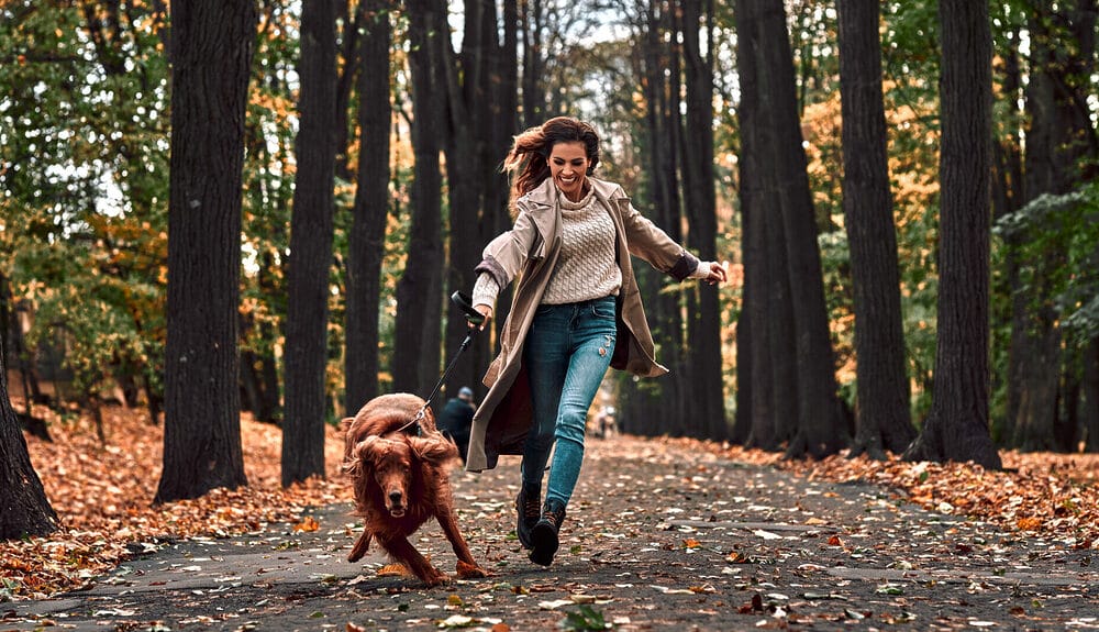 What makes a bungee leash different than a regular leash?