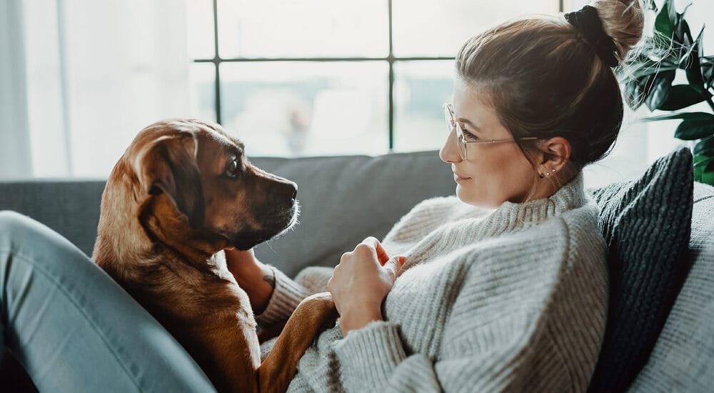 Why are grain-free dog treats better for your dog?