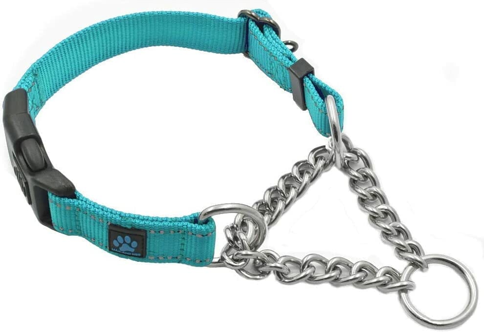 Steel Chain Martingale Collar
