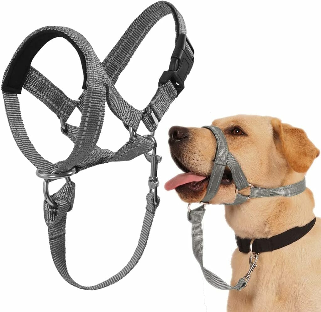 Barkless No-Pull Headcollar