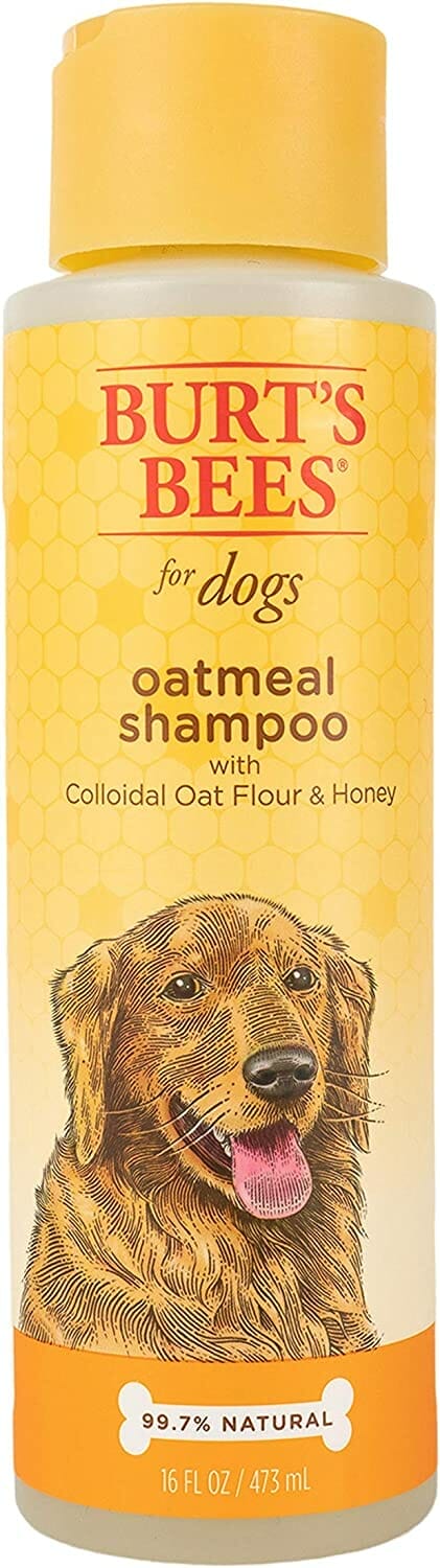 Burt's Bees Oatmeal Dog Shampoo
