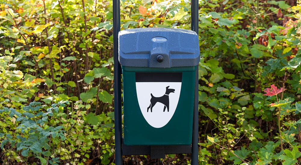 Alternatives to flushing dog poop Alternatives to flushing dog poop