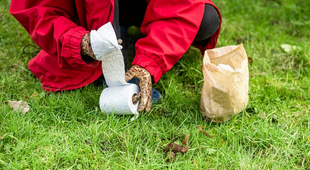 Safest way to flush dog poop Safest way to flush dog poop
