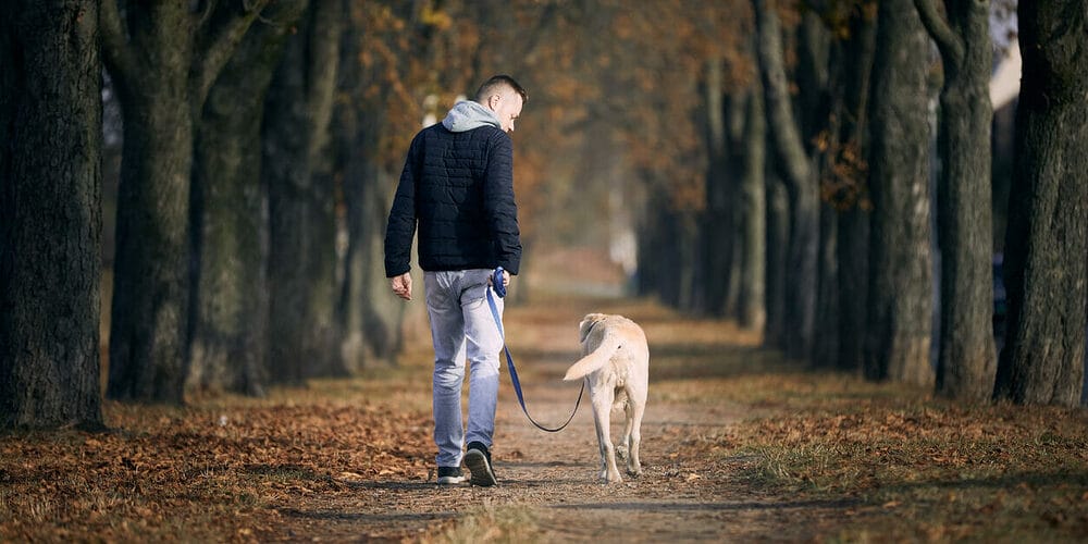 Plenty of exercise Plenty of exercise