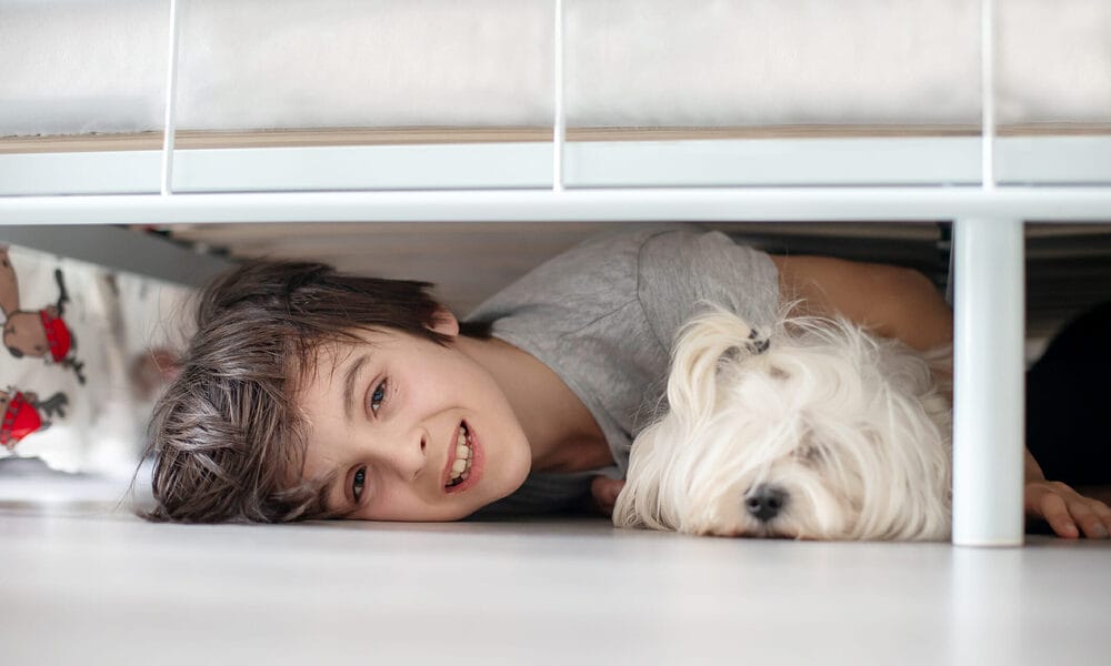 Why Are DIY Under Bed Blockers For Dogs Necessary?