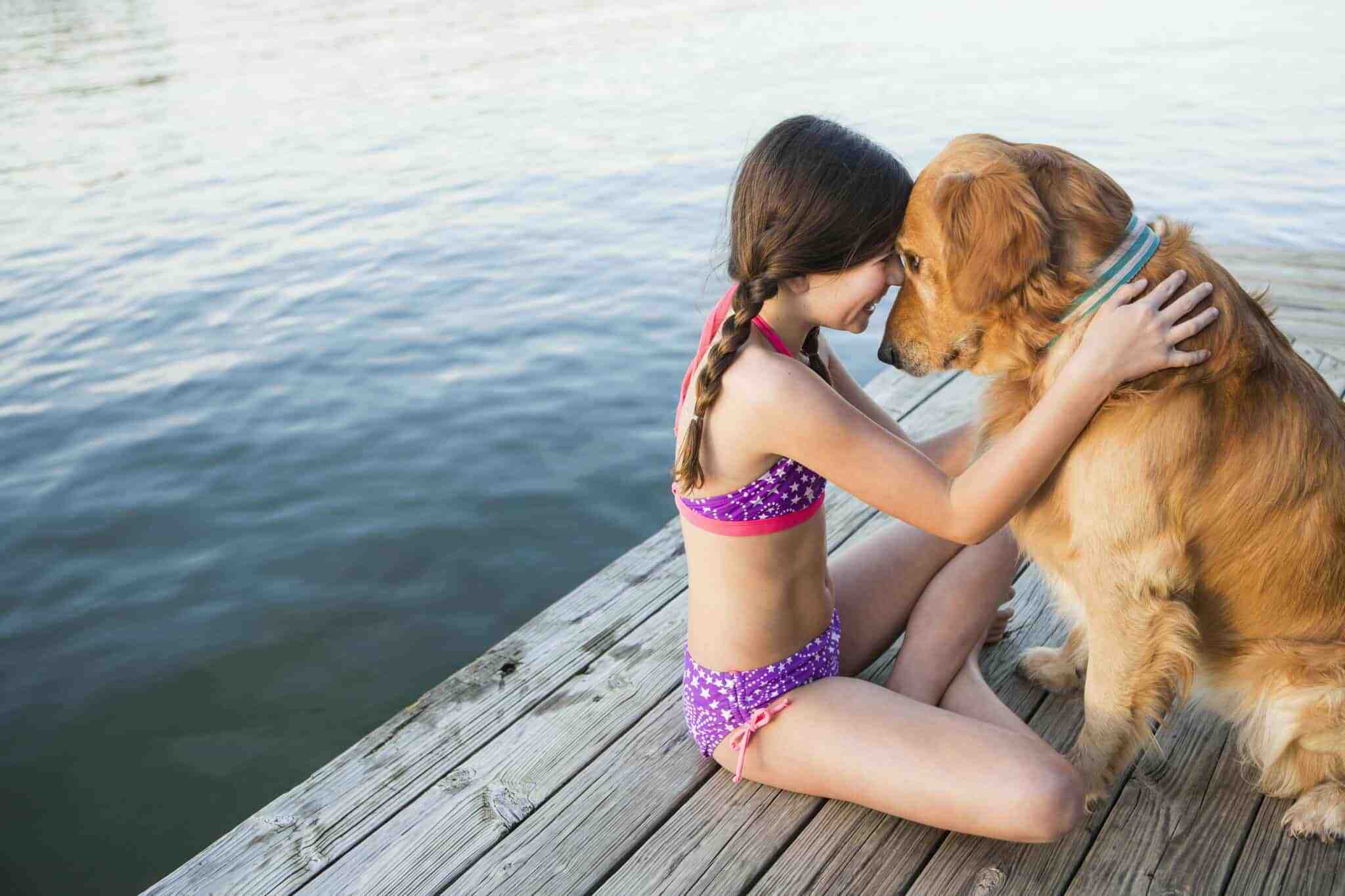 Why do dogs panic when their owners jump in water?