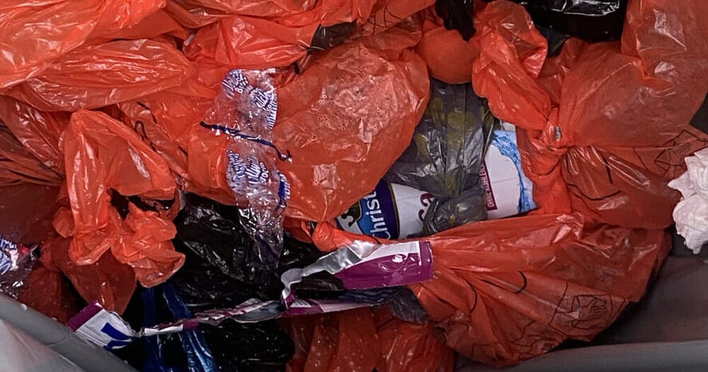 Disposable Poop Bags