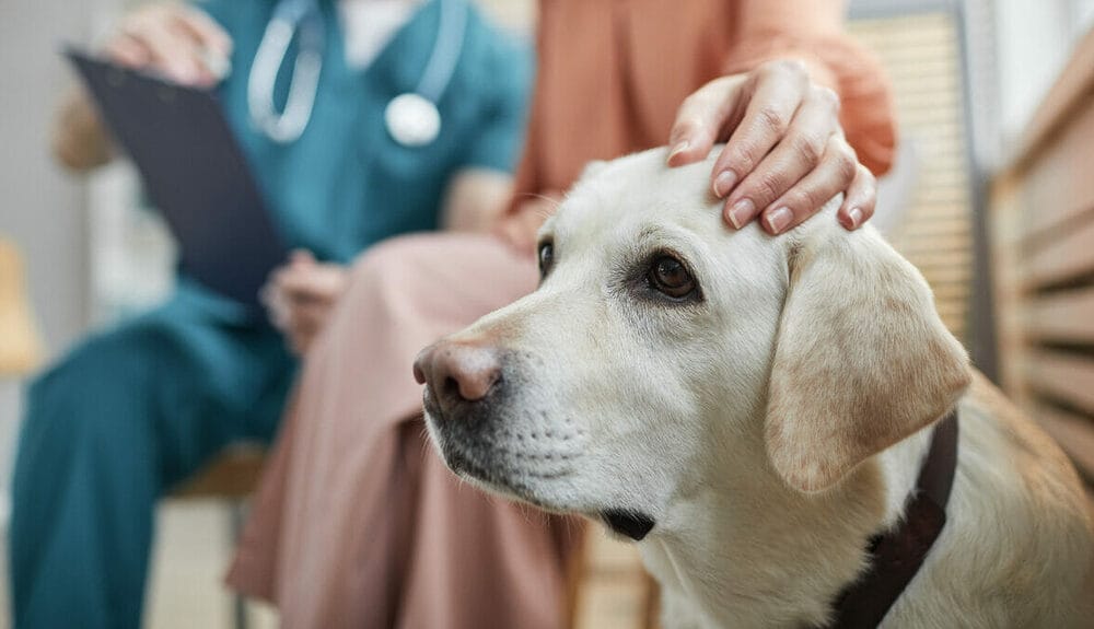 Incomplete expression Incomplete expression