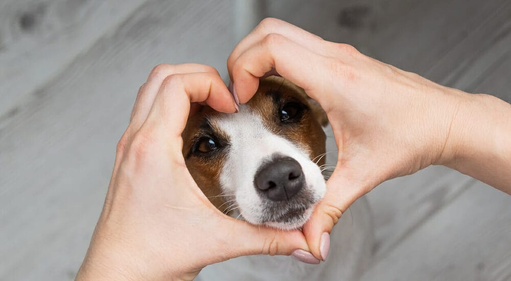 What Happens After the Dental Procedure