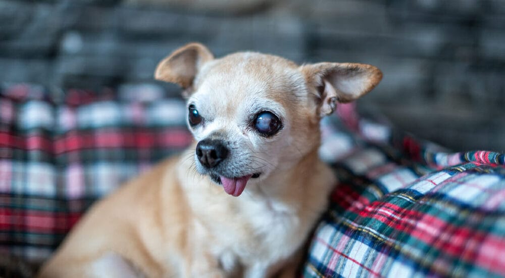 Other causes Other causes