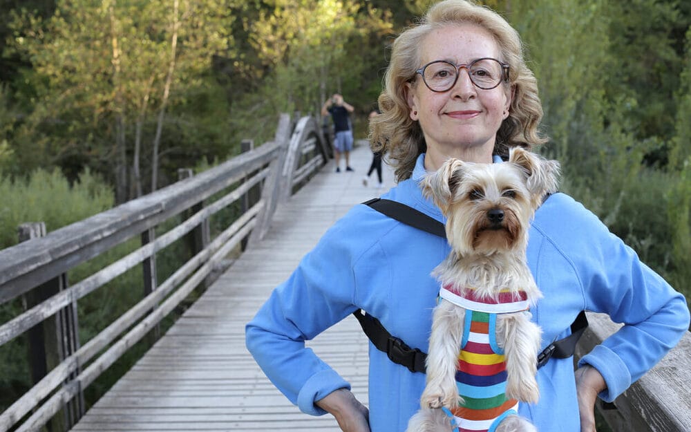 Can a dog live a normal life with cataracts? Can a dog live a normal life with cataracts?