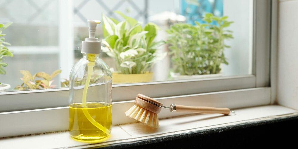 Can you use other dish soap to clean dogs? Can you use other dish soap to clean dogs?