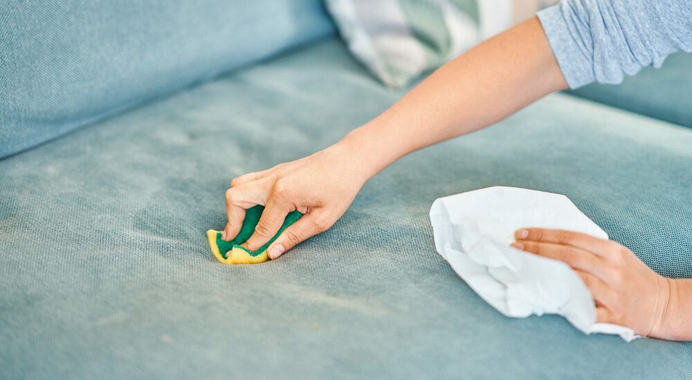 How To Clean Dog Urine From Microfiber Couch (Step-By-Step Guide) How To Clean Dog Urine From Microfiber Couch (Step-By-Step Guide)