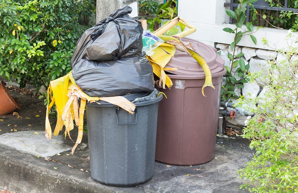 What could make the dog poop smell worse