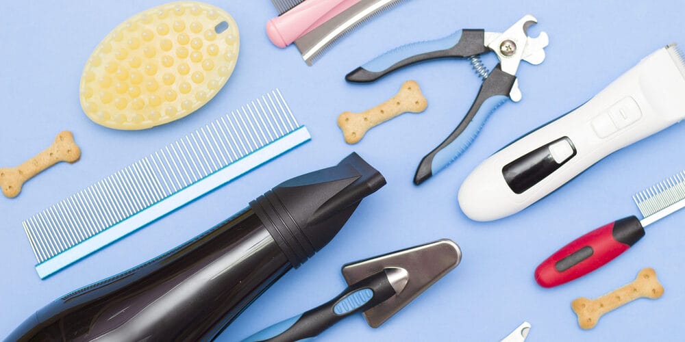 What Type of Dog Nail File to Use?