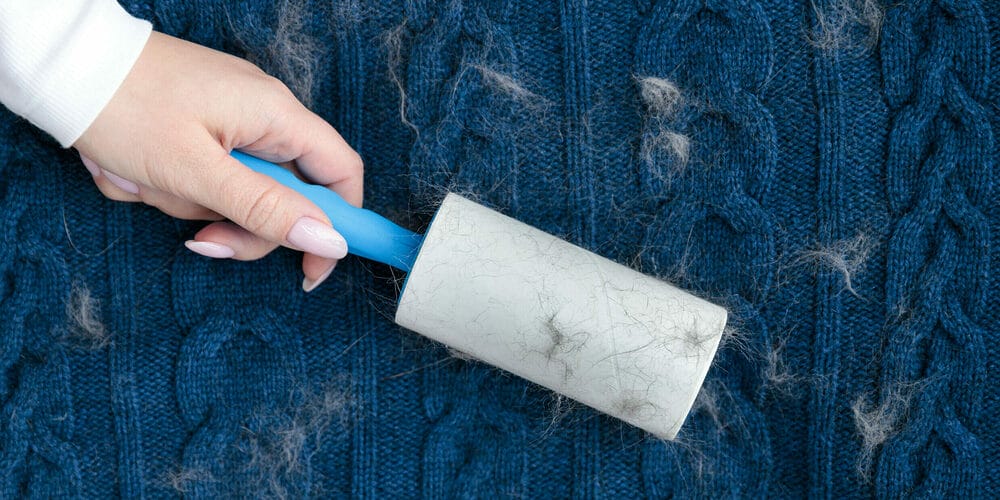 Use a lint roller Use a lint roller