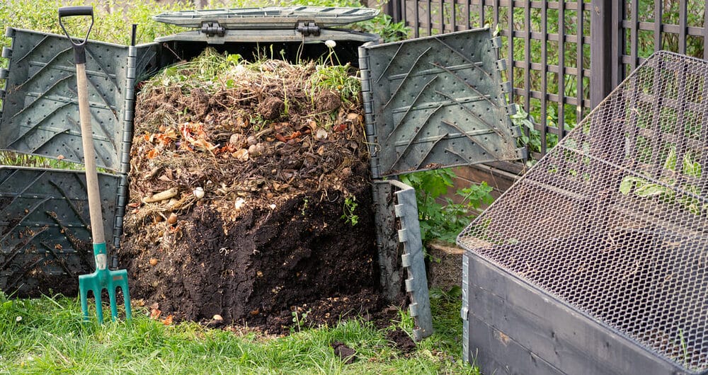 Composting The Dog Poop Composting The Dog Poop