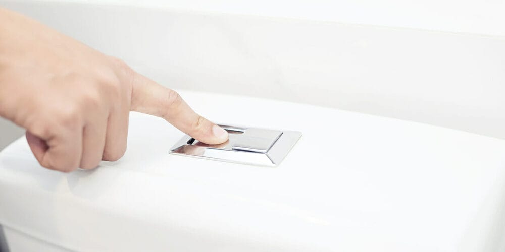 Flush it Down the Toilet Flush it Down the Toilet