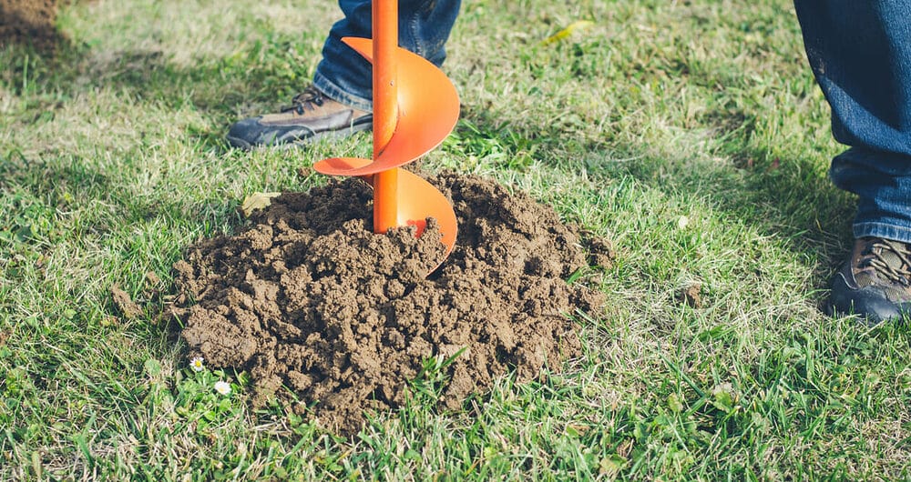 Bury the dog poop Bury the dog poop