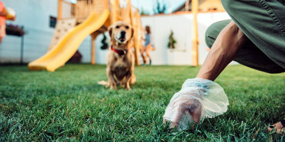 Scooping with a Bag or Shovel Scooping with a Bag or Shovel