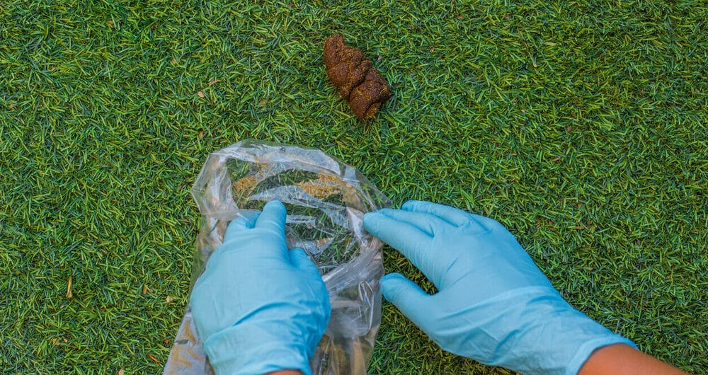 Plastic Gloves Plastic Gloves