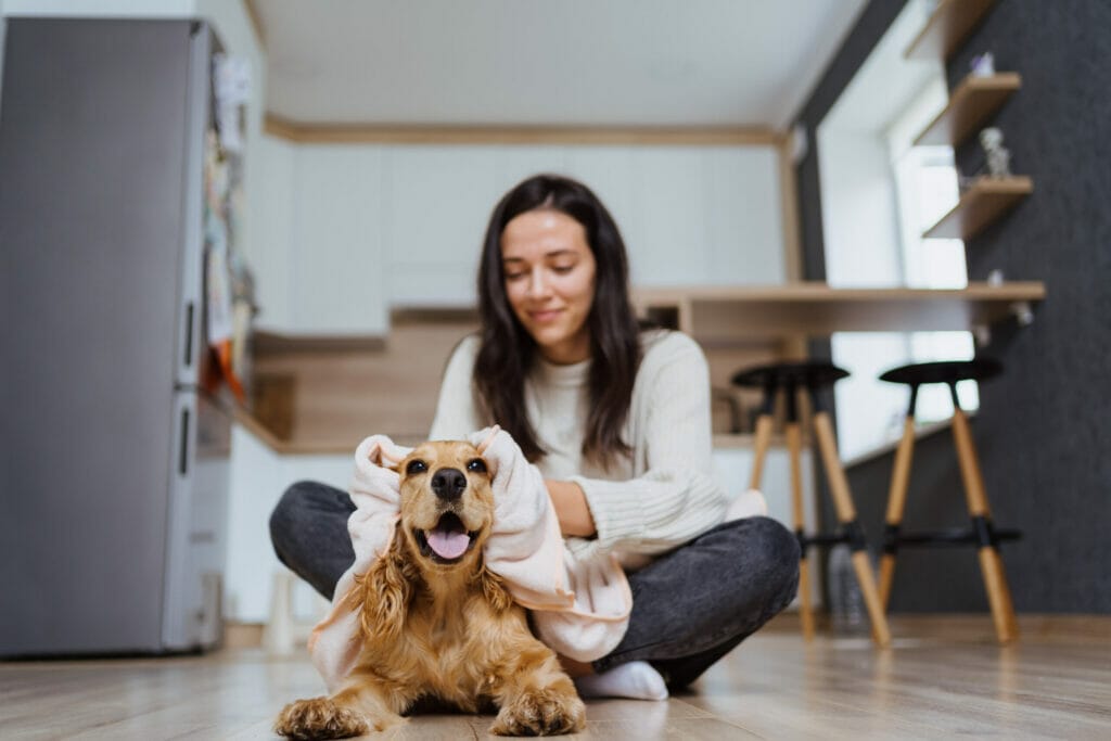 Take breaks for playtime and walks