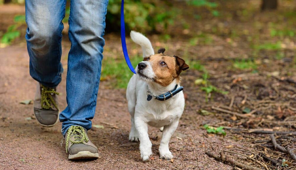 Prevention of Rope Burn Infection Prevention of Rope Burn Infection