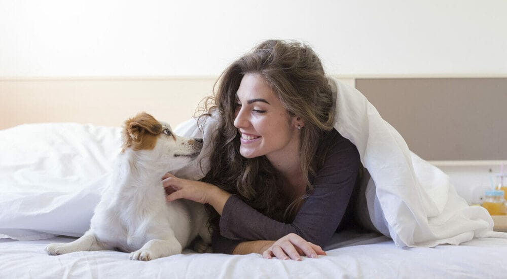 etting your dog sleep in your room, is this good etting your dog sleep in your room, is this good