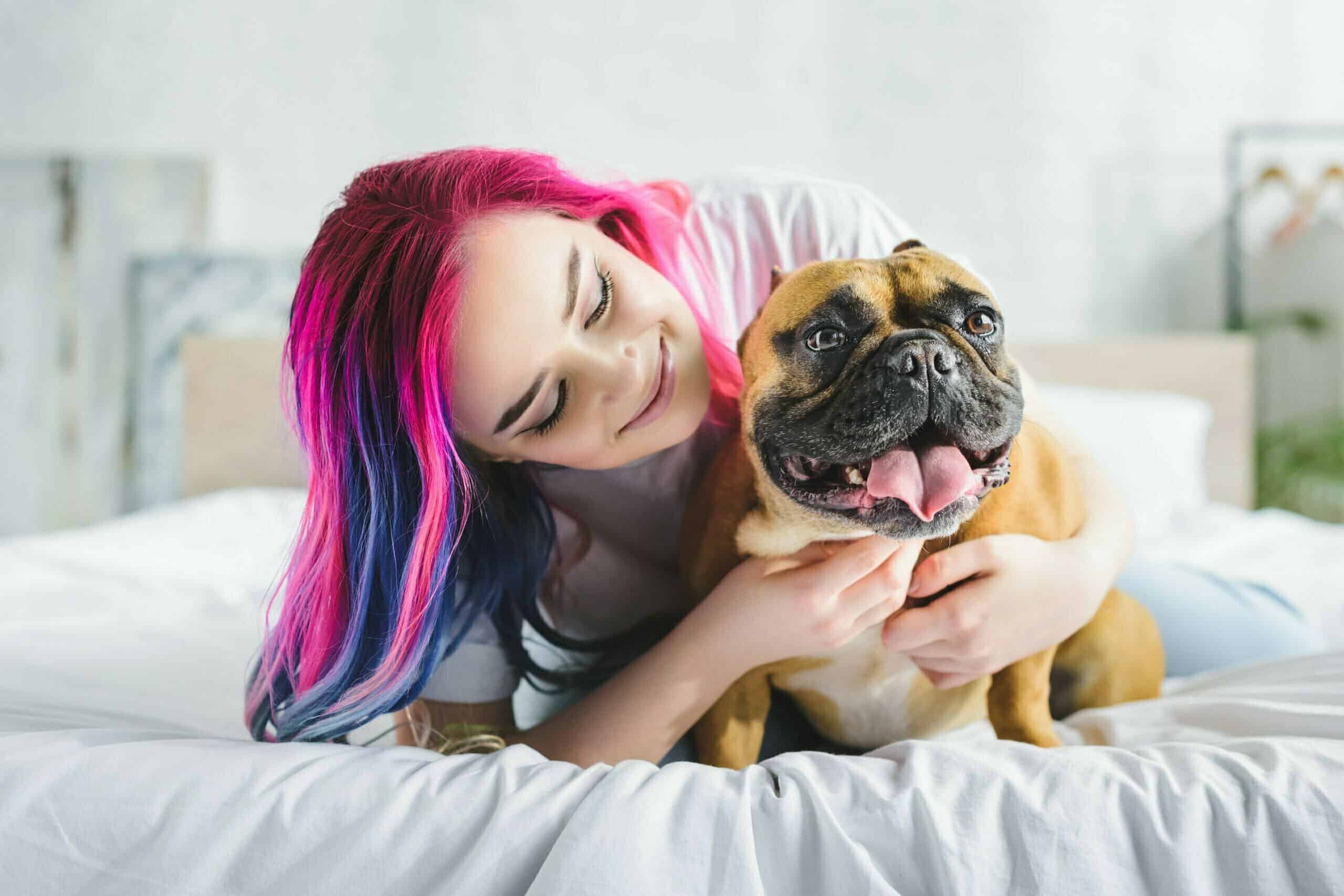 red french bulldog health