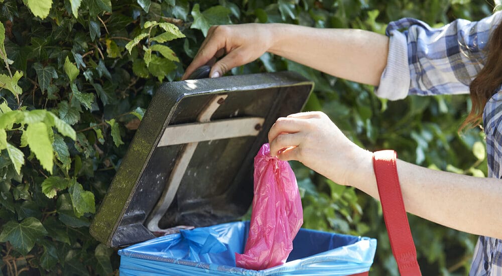 How To Store Dog Poop Until Garbage Day?