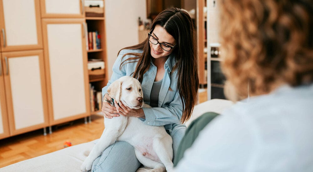Is your puppy too excited?​