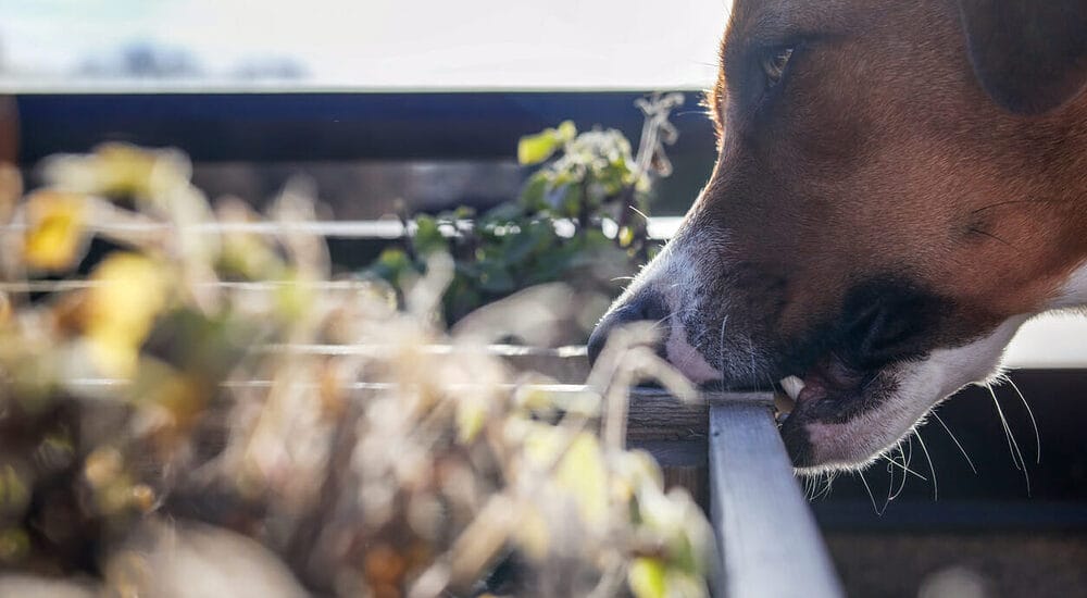 Obsessive Compulsive Disorder Obsessive Compulsive Disorder