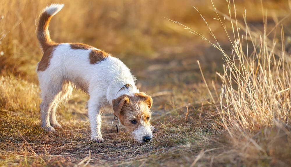 Encourage The Behavior Encourage The Behavior