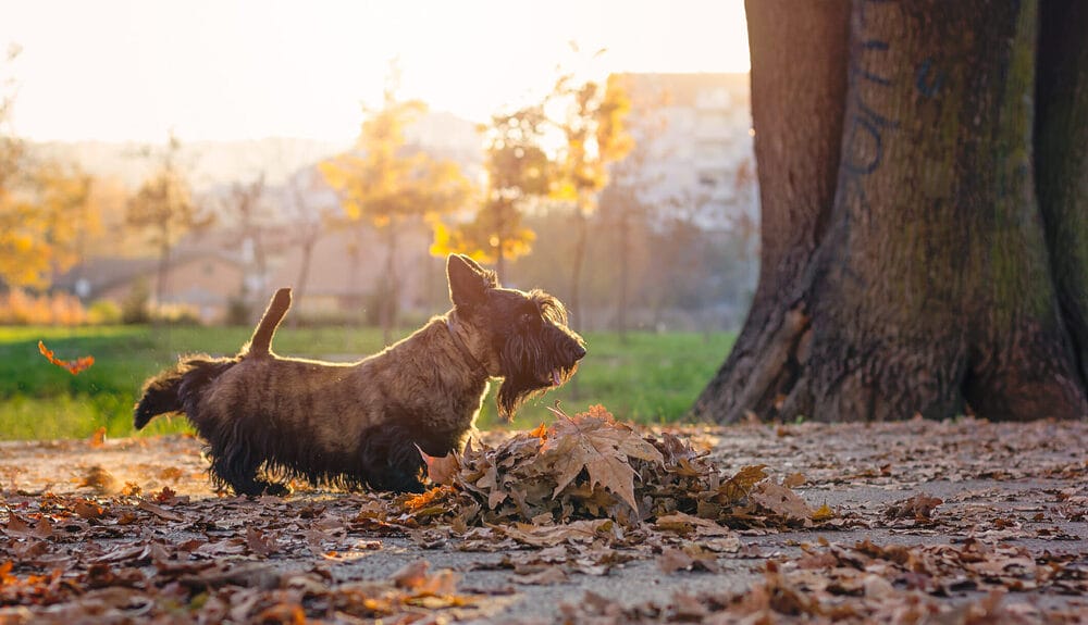 Other Things To Consider