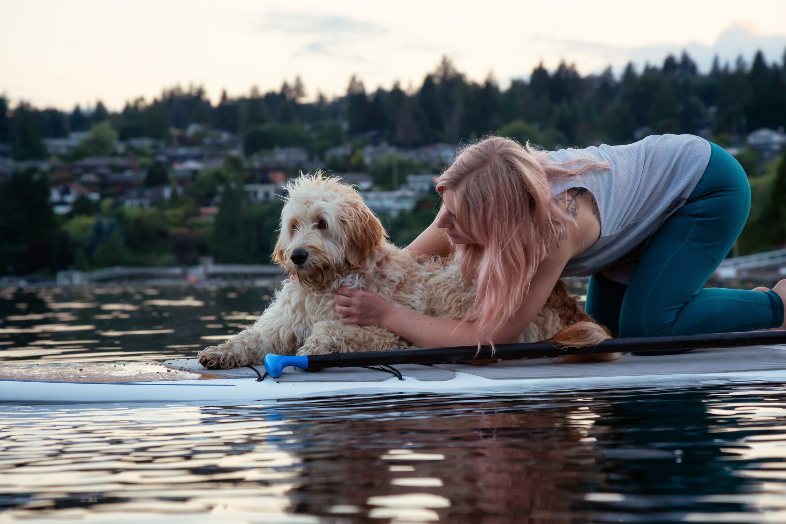 5 Best inflatable paddle boards for dogs and you! (in 2026)