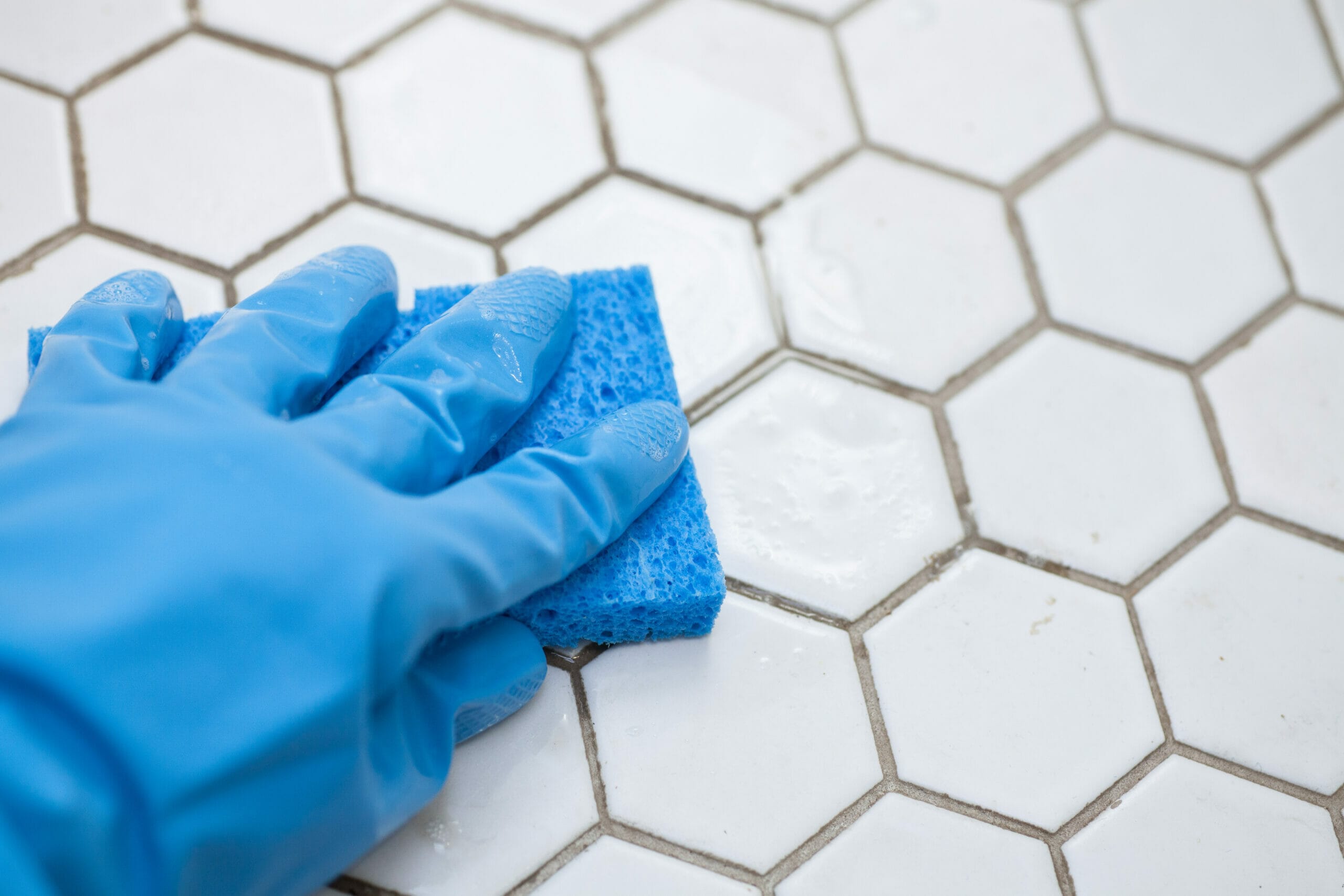 How to clean dog urine from tile grout (step-by-step guide)