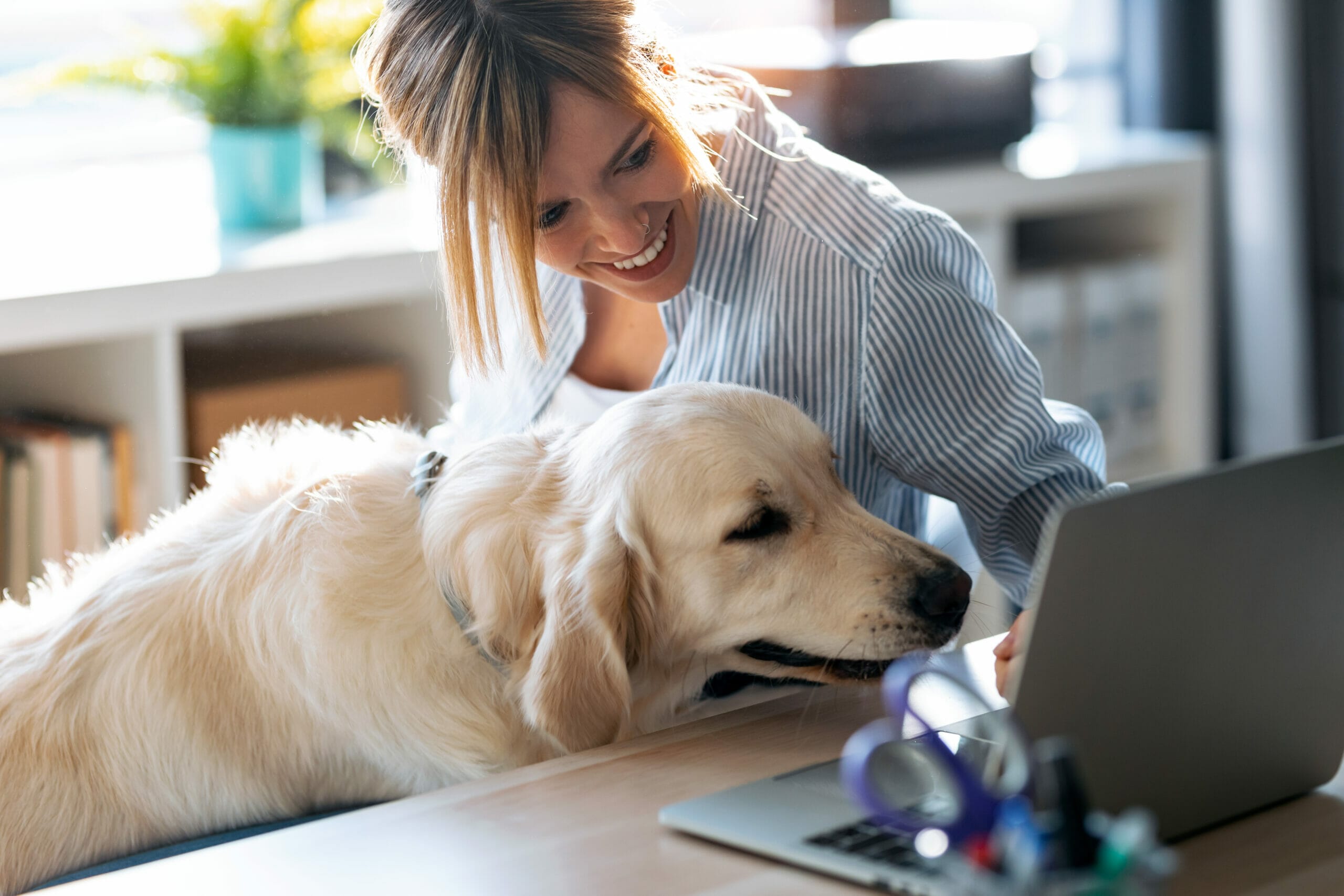 8 Ways to Keep Your Dog Entertained While You Work From Home