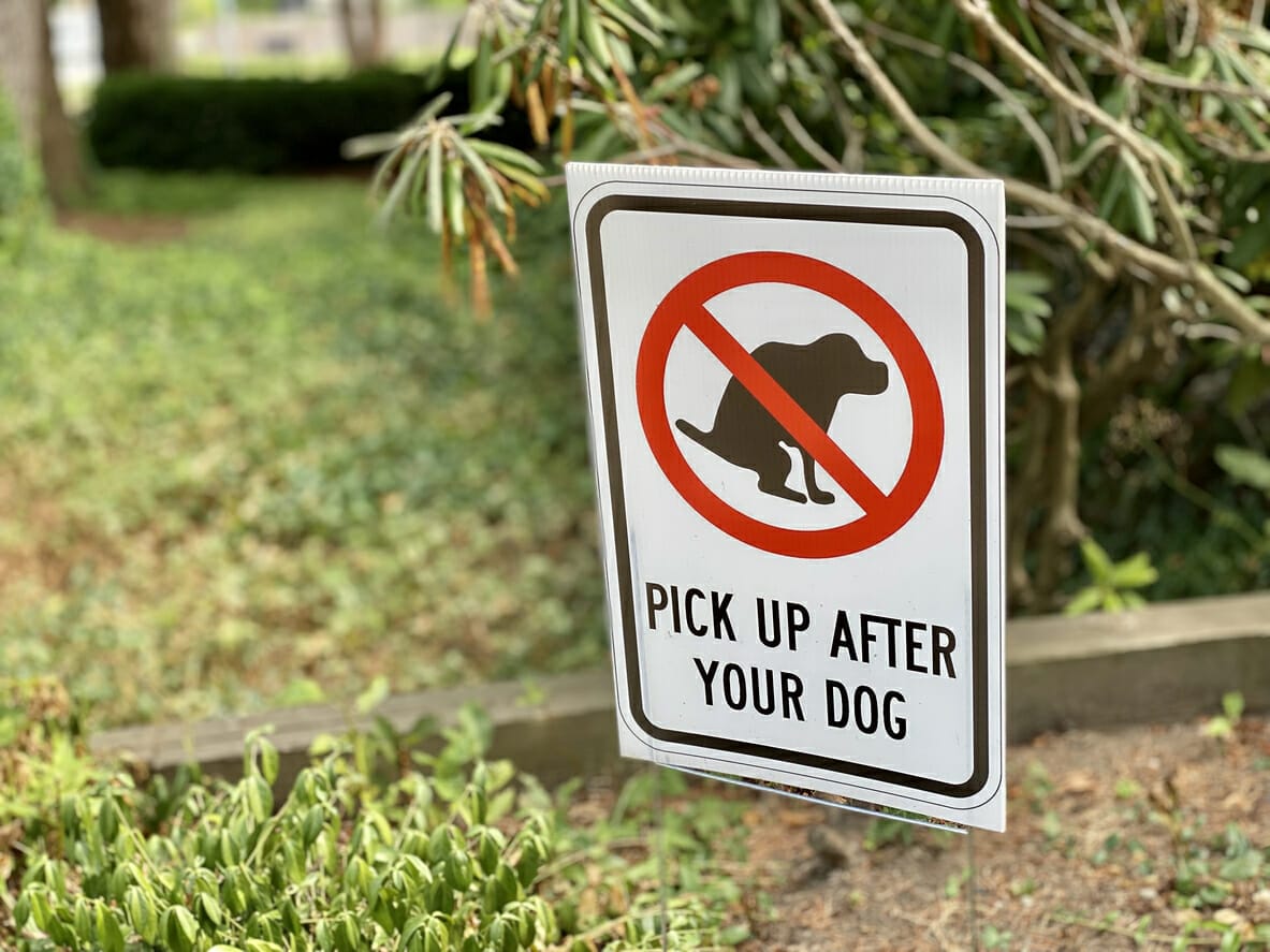 10 Funny No Dog Poop Signs For Your Yard (2026)
