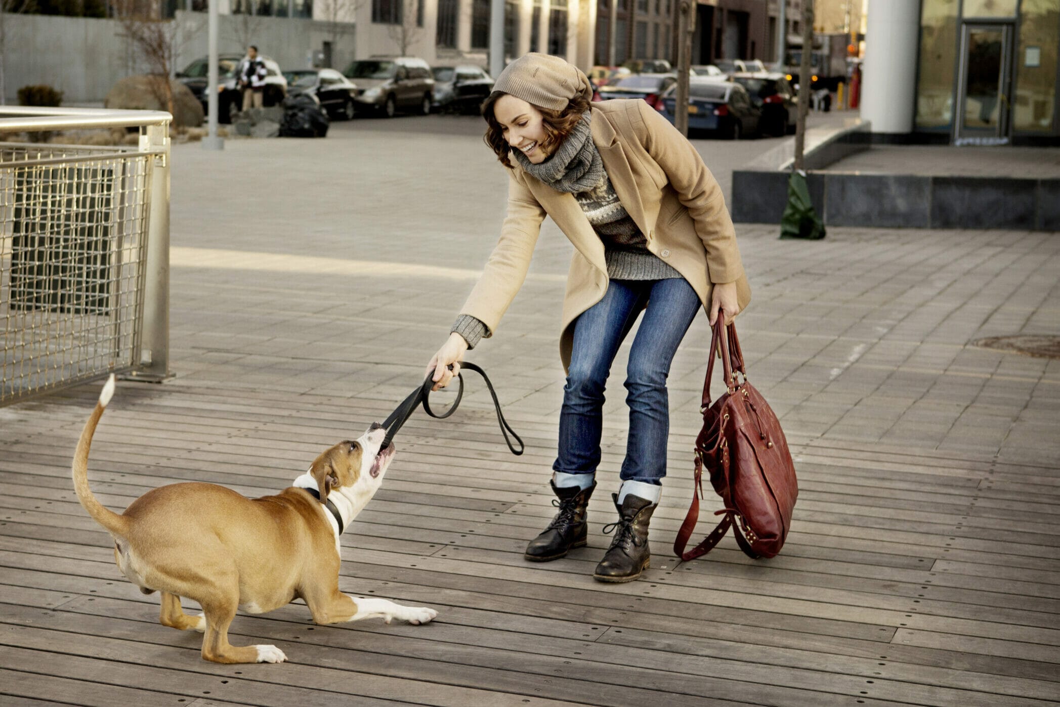 5 Reasons Why Dogs Bite The Leash When Walking